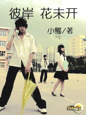 大眼蛙3